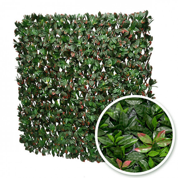 Treillis Extensible FEUILLES DE PHOTINIA