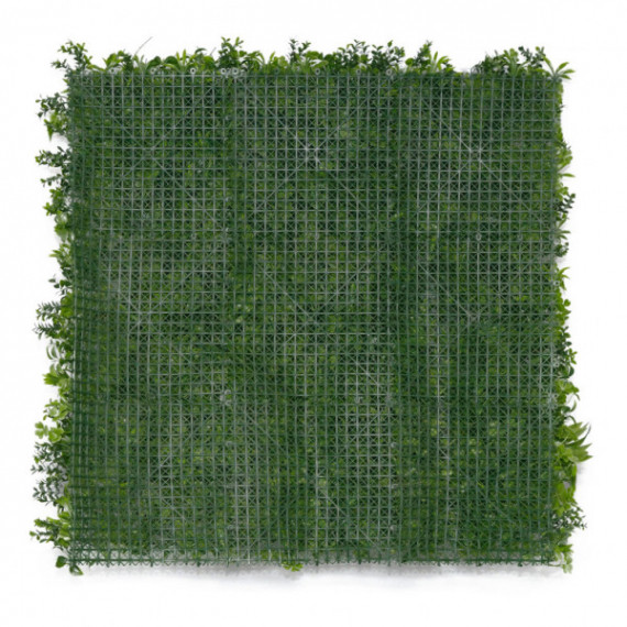face arrière mur vegetal flora